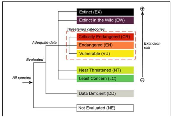 seguintes categorias: vulneráveis (VU), criticamente ameaçadas (CR), em perigo (EM), extintas (EX), extinta na natureza (EW).