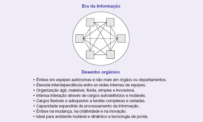 2.3. O desenho orgânico típico da Era da Informação.