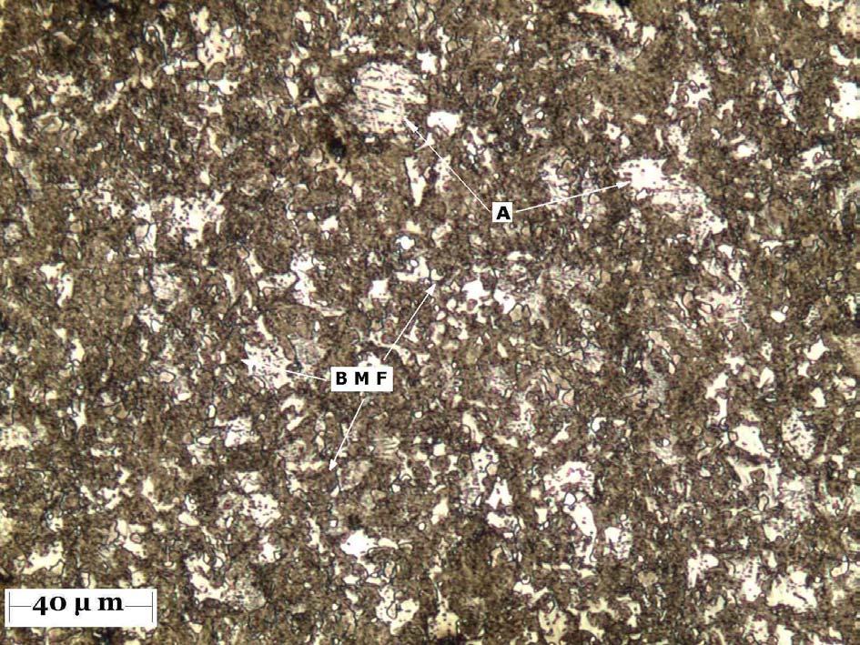 80 Figura 13 Micrografia do aço AISI 4340 aquecido a 740º C por 1800s e com transformação isotérmica a 350ºC por 600s, após ataque com solução aquosa 10% de metabissulfito de sódio, mostrando áreas