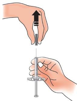 D. Prepare e limpe a área em que irá injetar Parte superior do braço Área da barriga (abdómen) Coxa O doente ou o seu prestador de cuidados podem utilizar: a sua coxa a sua área da barriga (abdómen),