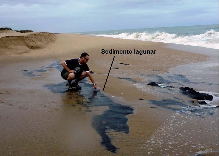 Barreiras Costeiras Holocênicas: Geomorfologia e Arquitetura Deposicional no Litoral do Rio de Janeiro Figura 10 - Monitoramento da linha de costa e morfodinâmica de praia a partir de perfi s