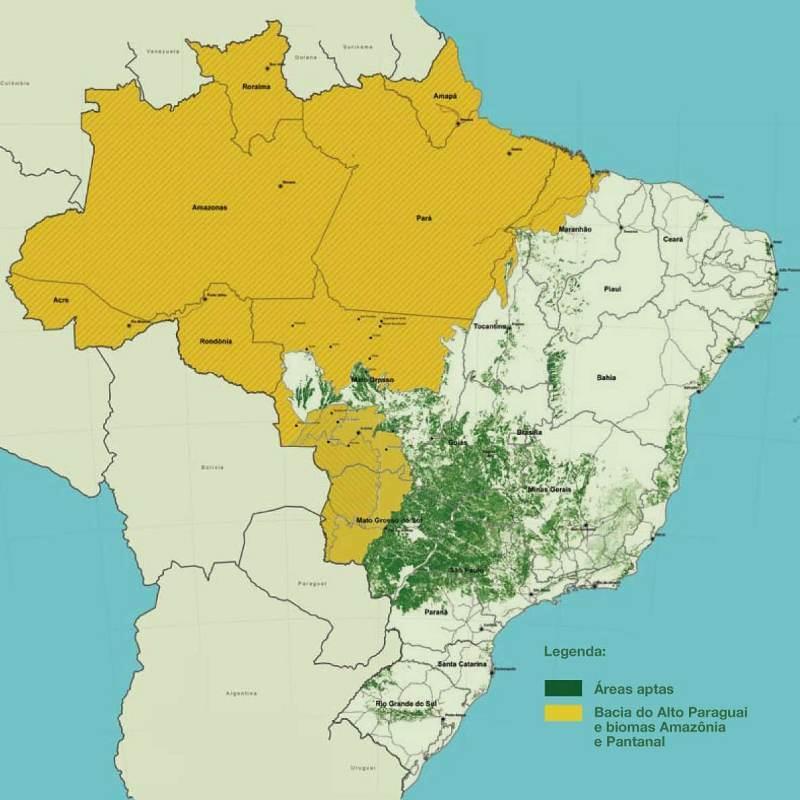 Principais determinações: Zoneamento agroecológico da cana Proteção de áreas com vegetação original nativa e proibição do plantio nos biomas Amazônia, Pantanal e na Bacia do Alto Paraguai; Plantio da