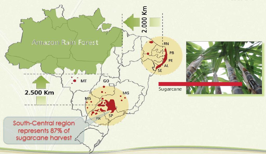 Dinâmica da produção de cana-de-açúcar no Brasil