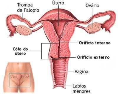 Sistema Conjunto de entidades