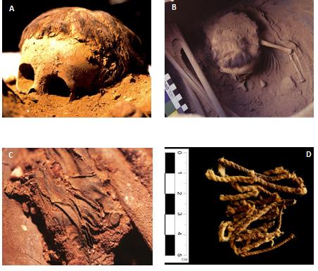 Figura 2: Os enterramentos da Toca da Baixa dos Caboclos destacam-se pelo seu estado de conservação; com esqueletos que ainda conservam cabelos (A e B), pele C e vestígios de cordas utilizadas para