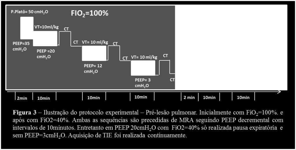 O objetivo era a retirada de surfactante com consequente aumento da abertura e fechamento alveolar cíclico. Após lavagem iniciou-se a segunda parte do protocolo. 3.4.