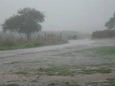 Depois de cinco anos de seca, a expectativa, até agora, é de que tenhamos um inverno normal ou melhor do que o normal, o que é muito bom para o setor, diz o presidente da Federação da Agricultura no