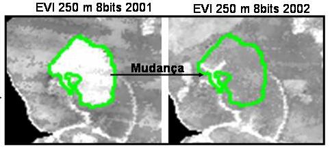 b) Exemplo de mudança nos níveis de cinza na área destacada em verde com a degradação da resolução radiométrica nas imagens EVI de 2001 (lado esquerdo) e 2002 (lado direito). 4.