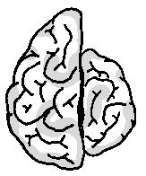 Em função do hemisfério cerebral utilizado, uma decisão pode ser: a) lógica, quando se baseia no raciocínio lógico