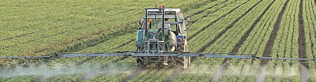 AGRICULTURA RAFAEL RIBEIRO DE LIMA FILHO é zootecnista, mestrando em administração pela UNESP de Jaboticabal e consultor da Scot Consultoria. rafael@scotconsultoria.com.