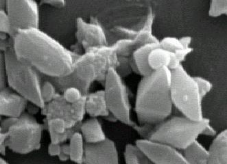 e r bp Figura 8: Micrografia eletrônica de varredura da mistura esporos-cristais da estirpe de B.