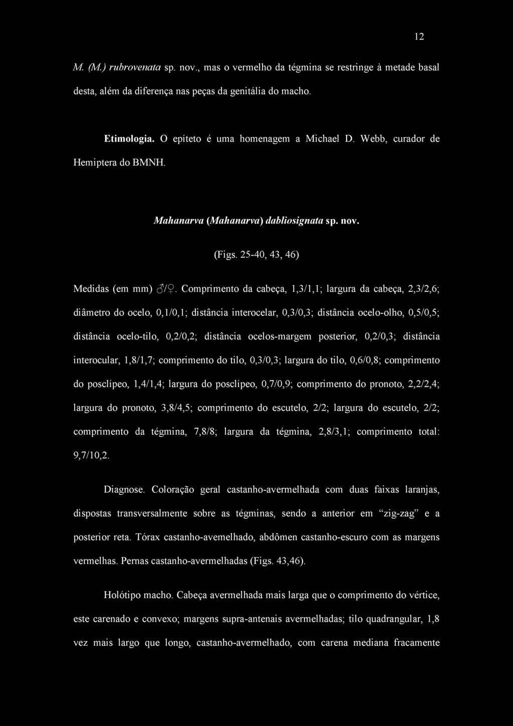 Comprimento da cabeça, 1,3/1,1; largura da cabeça, 2,3/2,6; diâmetro do ocelo, 0,1/0,1; distância interocelar, 0,3/0,3; distância ocelo-olho, 0,5/0,5; distância ocelo-tilo, 0,2/0,2; distância