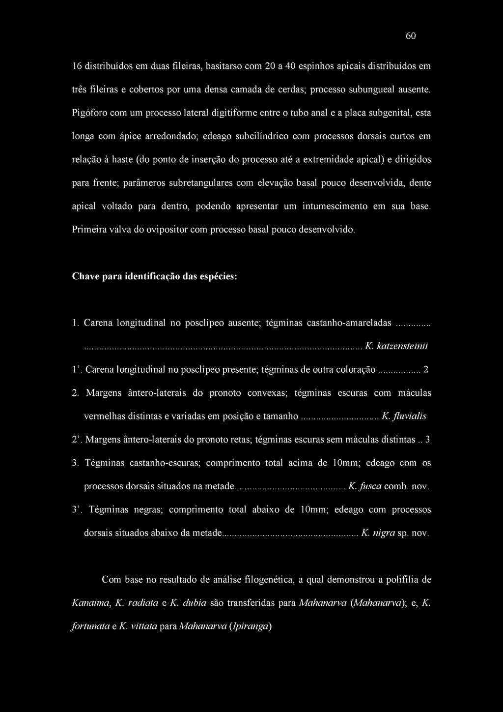 de inserção do processo até a extremidade apical) e dirigidos para frente; parâmeros subretangulares com elevação basal pouco desenvolvida, dente apical voltado para dentro, podendo apresentar um