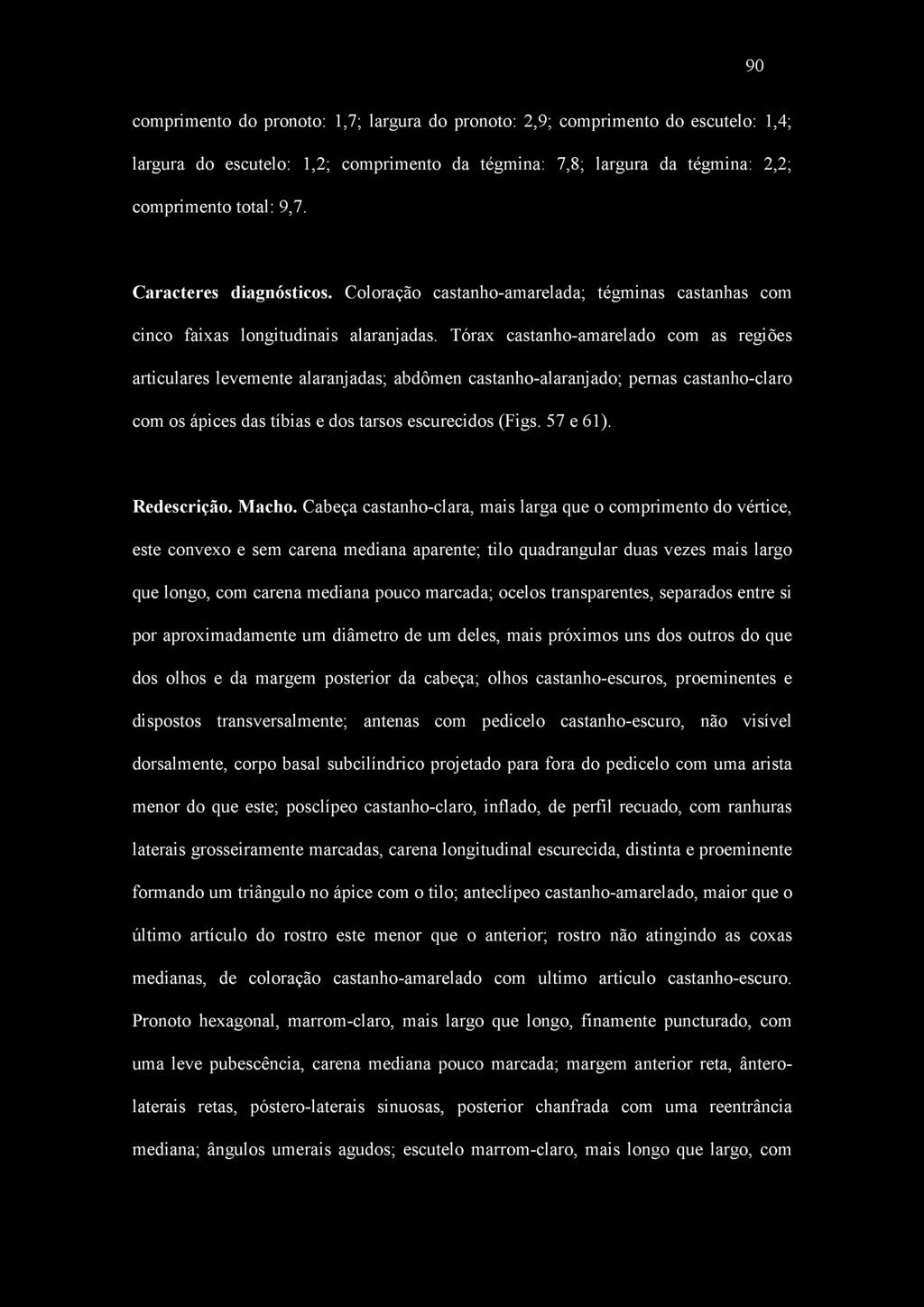 Tórax castanho-amarelado com as regiões articulares levemente alaranjadas; abdômen castanho-alaranjado; pernas castanho-claro com os ápices das tíbias e dos tarsos escurecidos (Figs. 57 e 61).