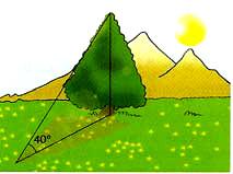 3. O esquema seguinte representa uma roda gigante com m de raio. Sabe-se que a distância do ponto O, centro da roda, ao solo é 4m. 3.. Determina a distância ao solo do ponto P assinalado na figura.