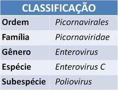 Doenças Causadas por Bactérias, Fungos e Vírus 19 Características do Poliovírus Taxonomia: família