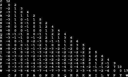 15 Figura 5: Matriz de substituição PAM 250. Um método alternativo de cálculo resultou nas matrizes de substituição da família BLOSUM (Blocks Substitution Matrices ).