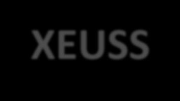 XENOCS-XEUSS TM NANOSTAR BRUKER TM Fonte de