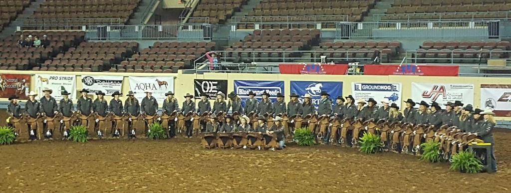 O evento aconteceu no State Fairgrounds Coliseum, em Oklahoma City (OK), EUA. Esta foi a 15ª edição do evento e sua organização foi surpreendente.