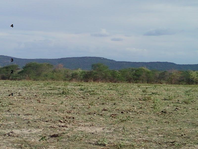 Figura 1: Área degradada pela agropecuária. Sitio Barreiros, município de Sousa-PB/Rita de Cássia/2013.