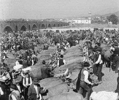 Festas, Feiras e Tradições Feira Quinzenal de S. Julião de Freixo 1, 15 e 29 agosto Feira Quinzenal de S.