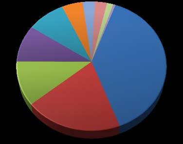 PERFIL DE PÚBLICO 9% 5% 3% 3% 1% 0% Atividade GOVERNO / ASSOCIAÇÃO /