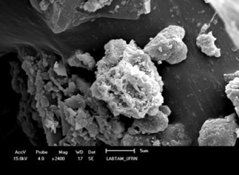 Utilizando-se a diferença entre o parâmetro de rede hexagonal (a 0 ) e o diâmetro de poros (Dp) estimou -se os valores médios de espessura de parede de sílica (Wt) do material mesoporoso. 3.4.