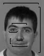 A face pode ser vista como uma estrutura construída de diversos componentes, tais como os olhos, a testa, o nariz, a boca, etc.