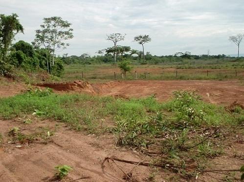 1) com padrão de implantação em um terreno de crosta laterítica circundados por