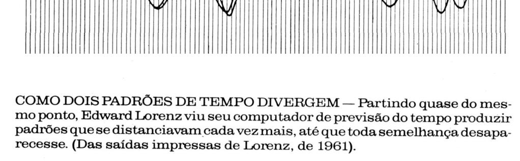 Efeito borboleta : uma borboleta agitando as asas em