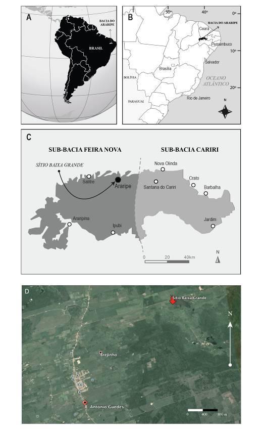 Figura 1: A) Localização da Bacia do Araripe na América do Sul. B) Limites da Bacia do Araripe permeando os estados do Ceará, Piauí e Pernambuco, no nordeste do Brasil.
