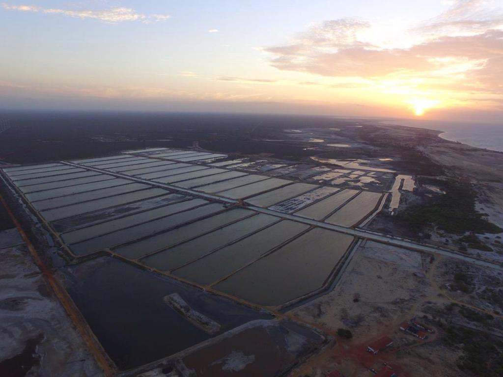 Contextualizando a Camarave a. Fazenda semi-intensiva de camarão com 137 hectares de área produtiva, cultivando o L. vannamei desde o ano 2002; b.