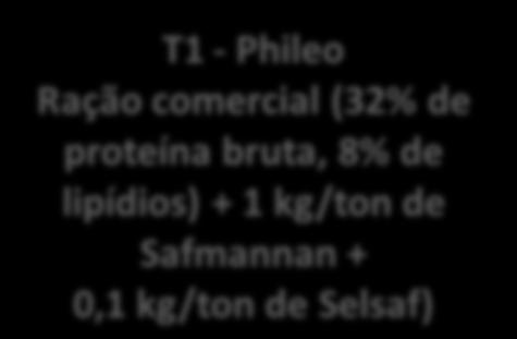 comercial (32% de proteína