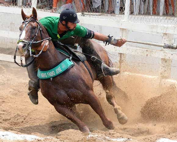 15 Embrião Top HFJ 16 HFJ Tari Apollo Fêmea 18/11/15 Tordilho PINE EASY HOLLAND EASE PRIME FILLY EASY HENRYETTA RONAS RYON KET FILLY TWIST TARI HV TARI O LENA YM MASCARADA APOLO HV SMARVELENA TARIS