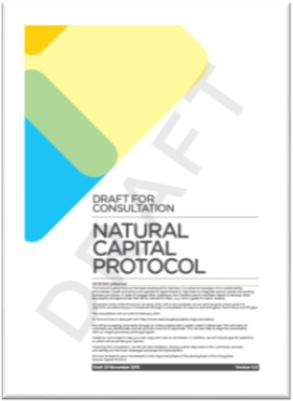 Valuation Natural Capital Protocol