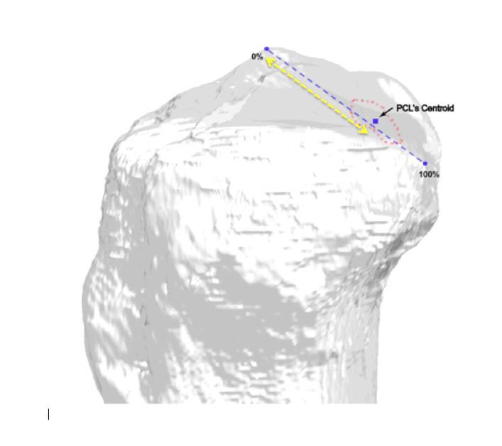 Materiais e Métodos 48 Figura 14: Imagem em 3D ampliada do modelo tibial na vista lateral ilustrando a faceta do LCP (linha pontilhada em azul), inserção do LCP (fronteira pontilhada em vermelho) e o