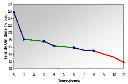 No Quadro 1 são apresentados os valores da massa de café nas suas fases inicial e final, para cada teste realizado, bem como os valores de peso hectolítrico (ph).