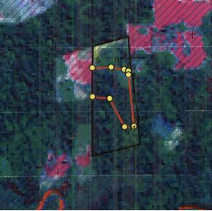 Figura 6. Confirmação em campo de um polígono localizado no município de São Félix do Xingu e mapeado como alteração.