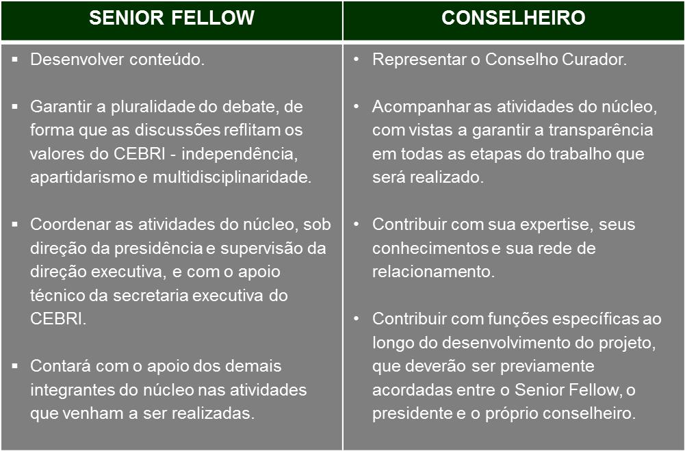 Definição de papeis e responsabilidades Composição do núcleo Senior Fellow: Mario Marconini, baseado em São Paulo, é Diretor Titular Adjunto do Departamento de Relações Internacionais e Comércio