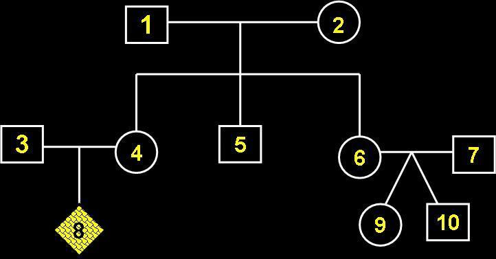 EXERCÍCIOS - Monoibridismo e Genealogia 1) Assinale as corretas: ( ) O casal 1 e 2 possuem 2 filhas e 1 filho. ( ) O casal 1 e 2 possuem 5 netos. ( ) O indivíduo 7 é filho do casal 1 e 2.