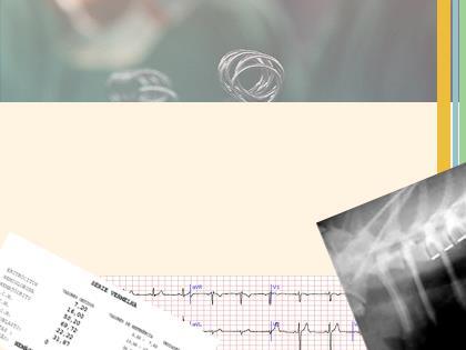 CUIDADOS PRÉ-OPERATÓRIOS Exames pré-operatórios ECG, Ecocardiograma, hemograma, bioquímica sérica,