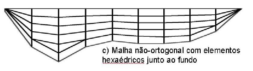 Bidimensional Longitudinal e