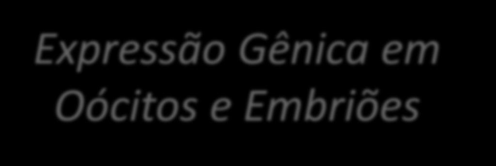 Universidade Federal de Pelotas Graduação em