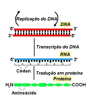 Análise de