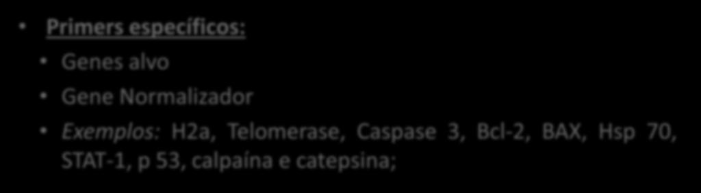 Análise de Expressão Gênica Primers específicos: Genes alvo Gene Normalizador Exemplos: H2a, Telomerase, Caspase 3, Bcl-2, BAX, Hsp 70, STAT-1, p 53, calpaína e catepsina; Gene Acession Number