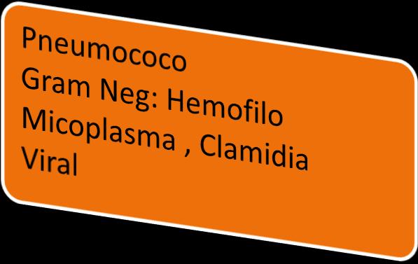 PAC Moderada Paciente classificado nesta categoria deve ser hospitalizado fora de UTI.