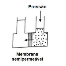 50 Figura 20 Processo de osmose reversa (Inversa) Fonte: SILVA et. al. (2010).