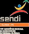 XVIII Seminário Nacional de Distribuição de Energia Elétrica SENDI 2008-06 a 10 de outubro Olinda - Pernambuco - Brasil Determinação das Perdas no Sistema de Distribuição da AES Sul: Implementação e