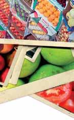 receita. Com a finalidade de aumentar a eficiência na comercialização dos hortifrutícolas, as grandes redes supermercadistas começaram a investir em suas próprias centrais de distribuição.