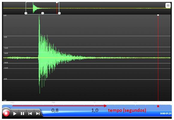 Figura 6: Reverberação do som produzido pelo estouro de uma bexiga de festa. A Figura 6 mostra a forma da onda sonora produzida pelo estouro da bexiga.